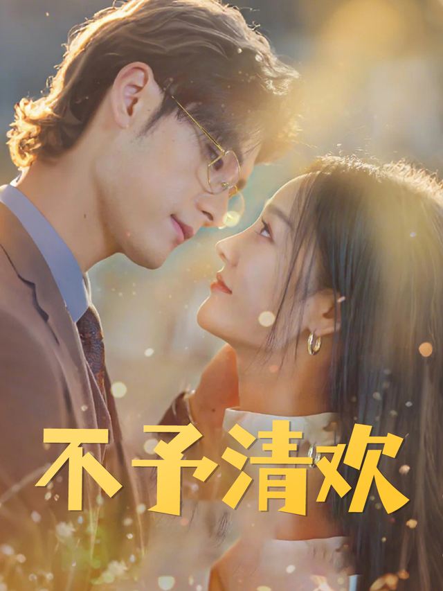 不予清欢封面