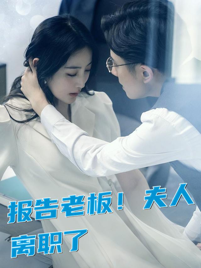 报告老板!夫人离职了封面