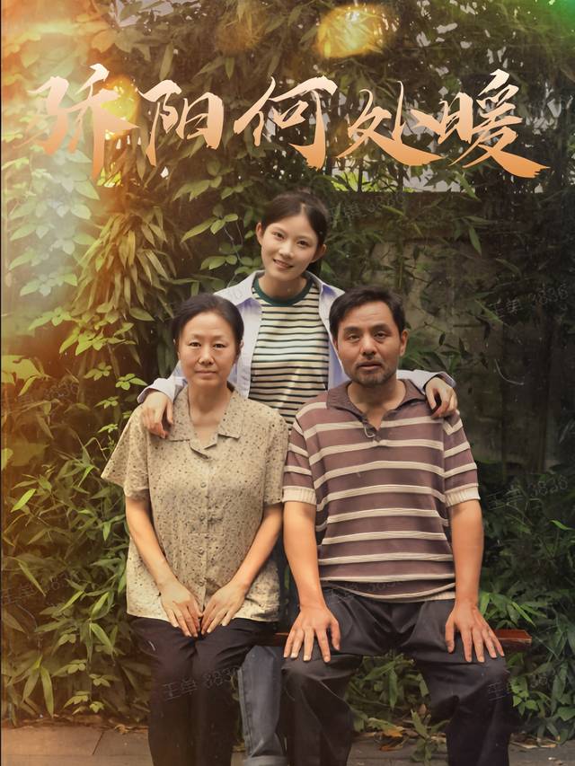 骄阳何处暖封面