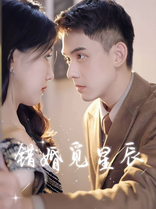 错婚觅星辰封面