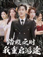 踏殿之时我重启鸿途封面