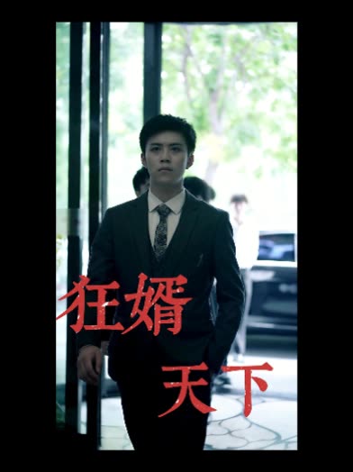 狂婿天下封面