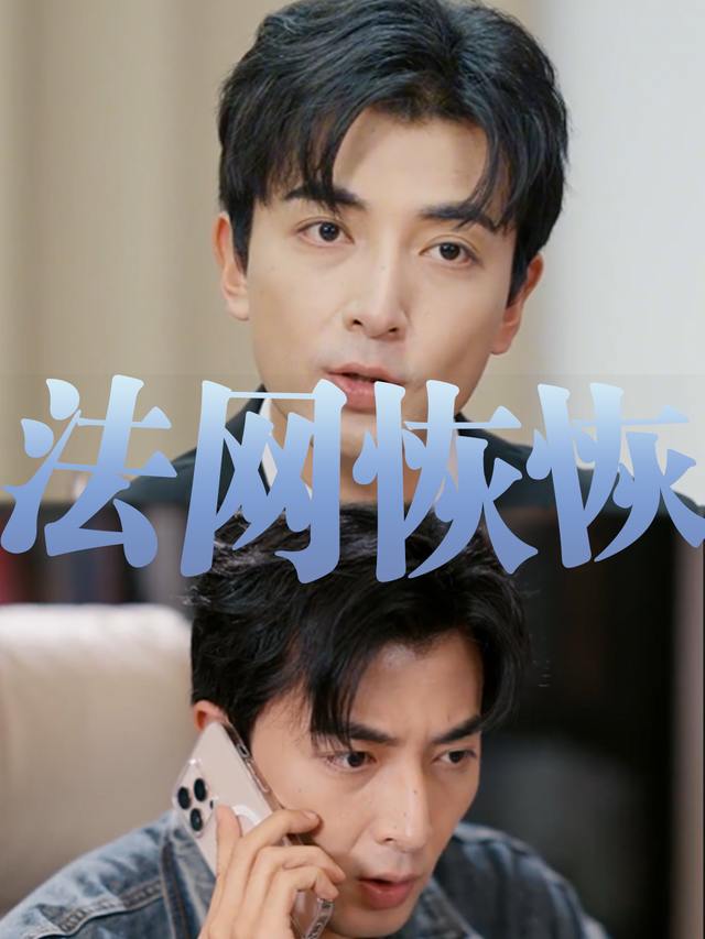 法网恢恢封面
