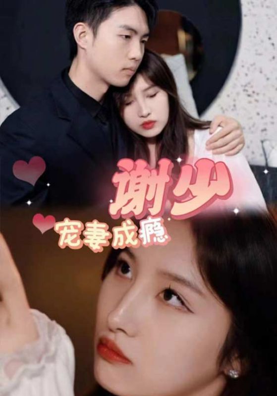 谢少宠妻成瘾封面