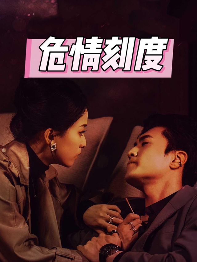危情刻度封面