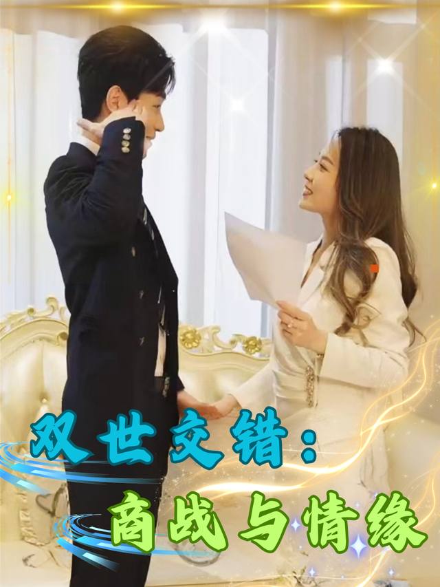 双世交错:商战与情缘封面
