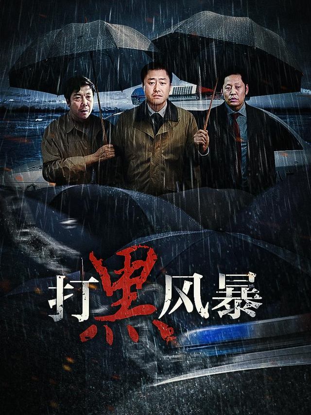 打黑风暴(下)封面