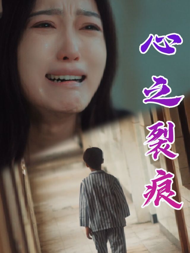 心之裂痕封面