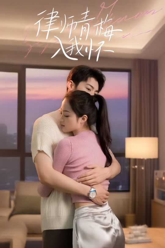 律师青梅入我怀封面