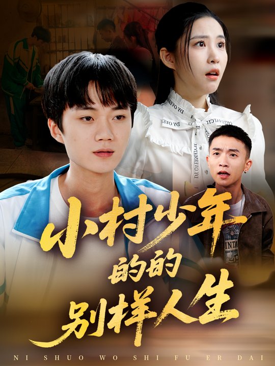 小村少年的别样人生封面