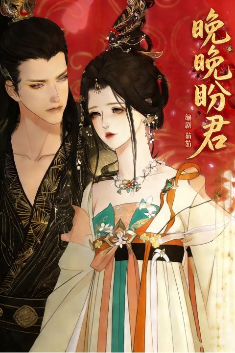 晚晚盼君封面