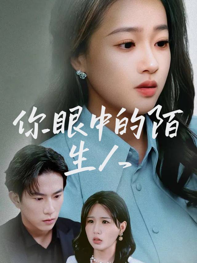 你眼中的陌生人封面