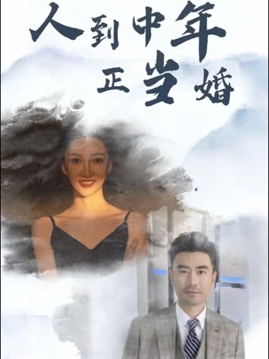 人到中年正当婚封面