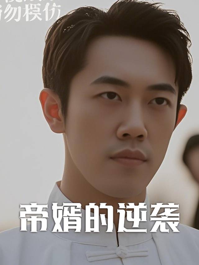 帝婿的逆袭封面