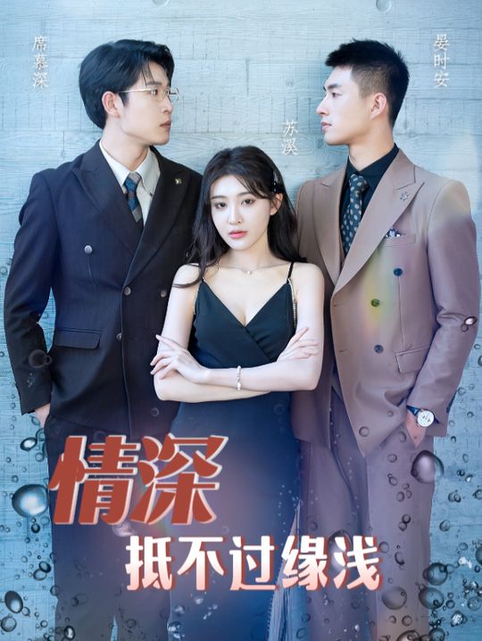 情深抵不过缘浅封面