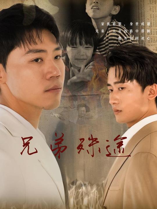 兄弟殊途封面