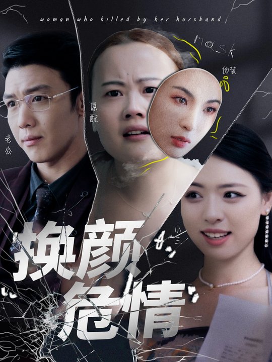 换颜危情封面