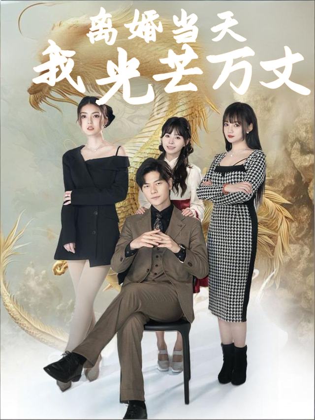 离婚当天我光芒万丈封面