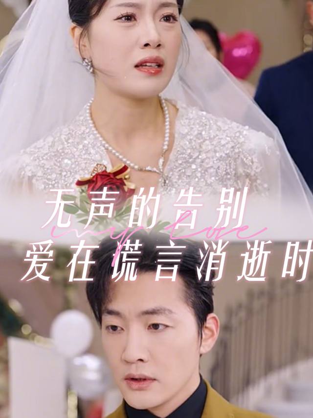 无声的告别:爱在谎言消逝时封面
