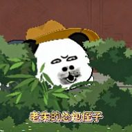 老朱的怂包侄子封面