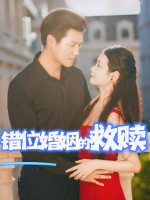 错位婚姻的救赎封面