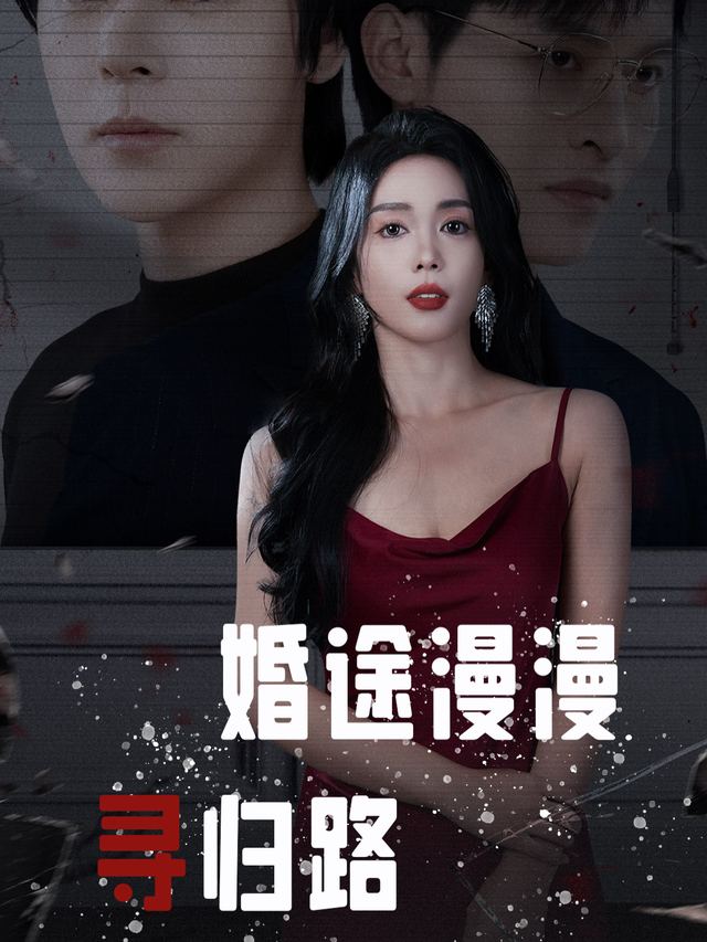 婚途漫漫寻归路封面