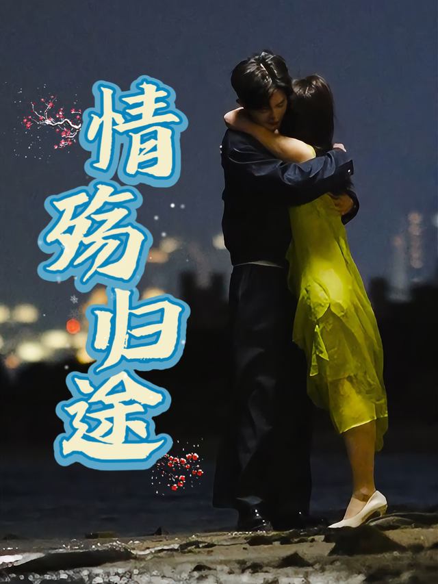 情殇归途封面
