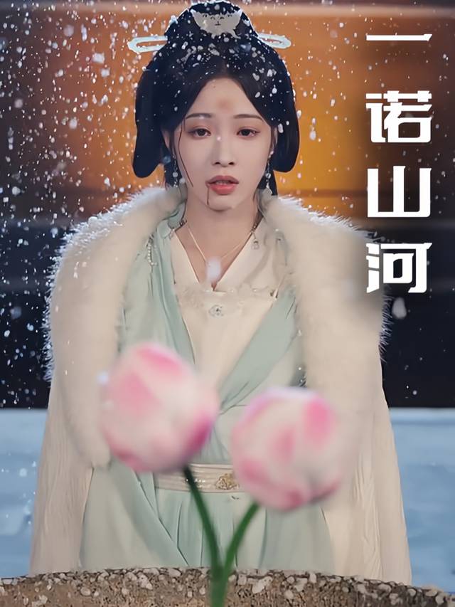 一诺山河封面