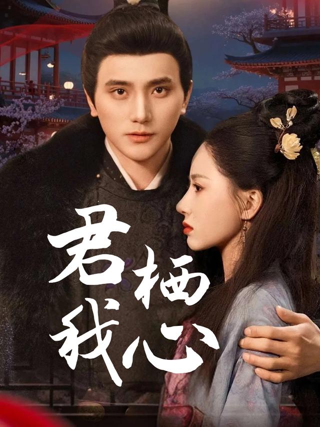 君栖我心封面