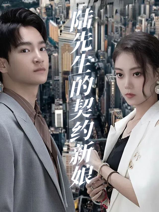 陆先生的契约新娘封面