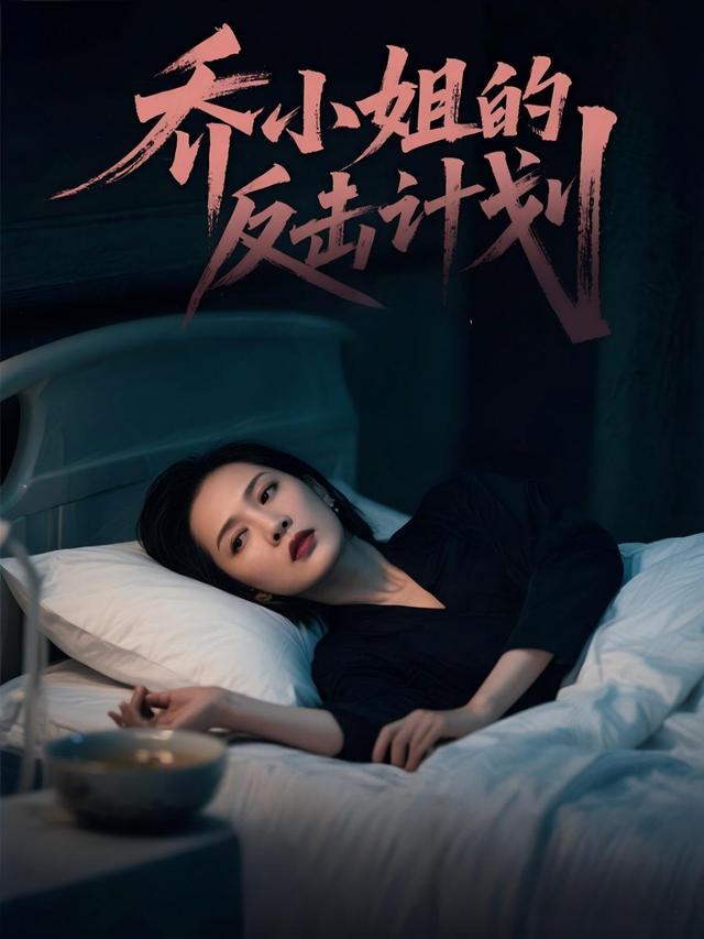 乔小姐的反击计划封面