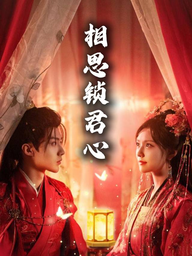 相思锁君心封面