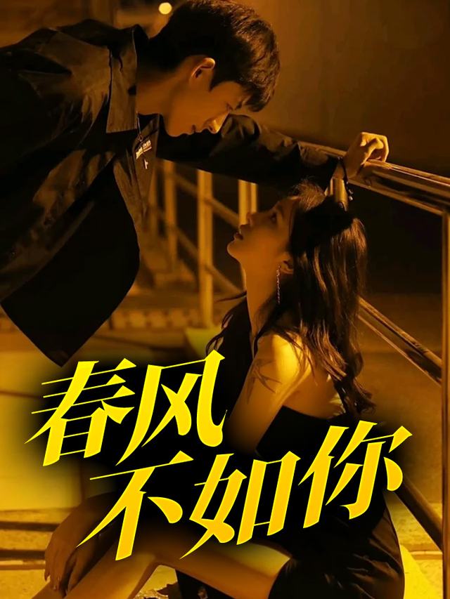 春风不如你封面