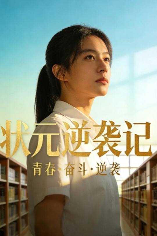 状元逆袭记封面