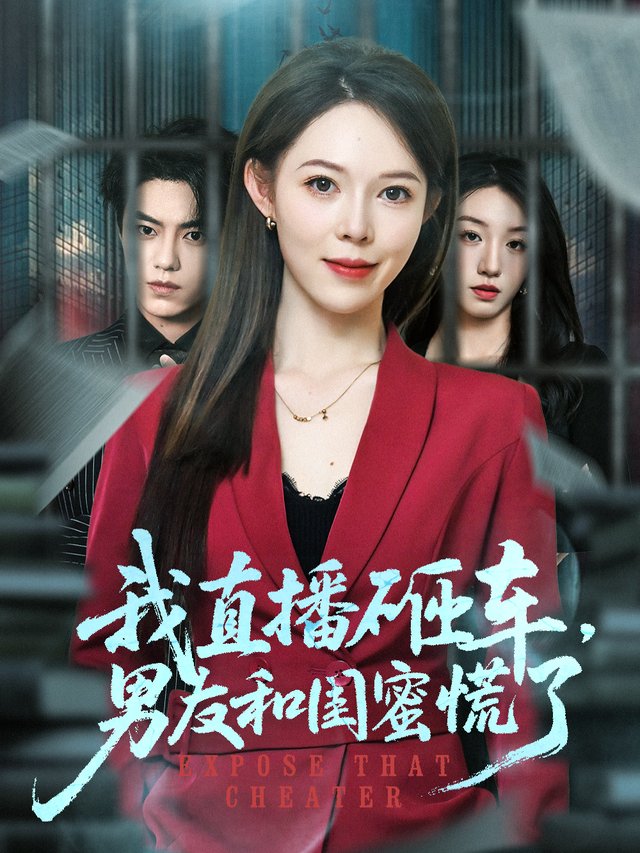 迷情危机封面
