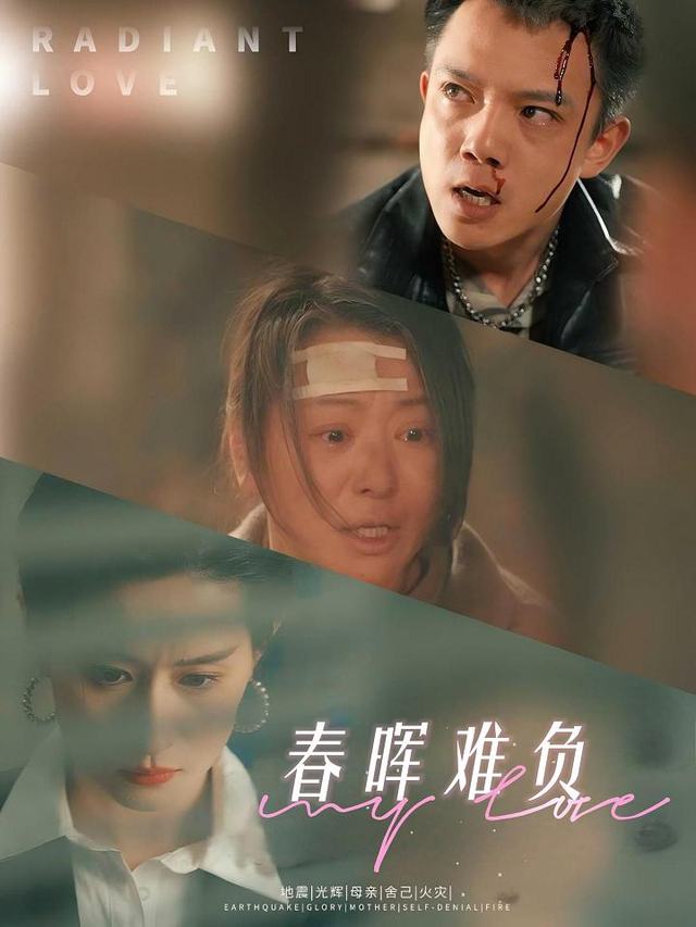 春晖难负封面