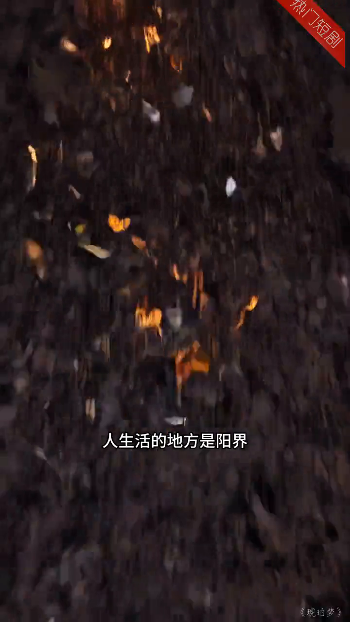 琥珀梦封面