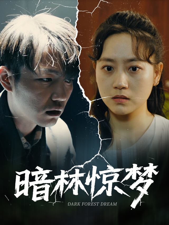暗林惊梦封面