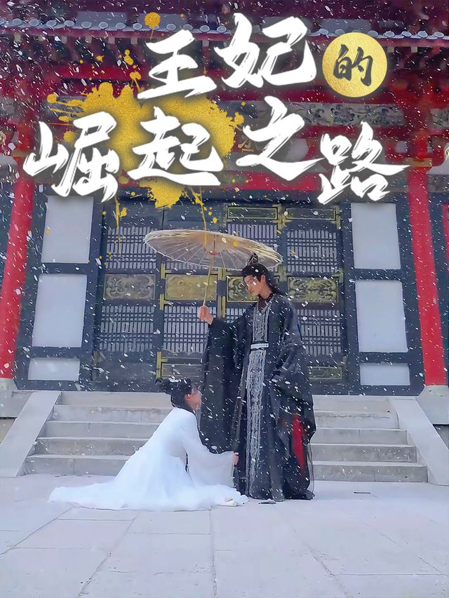 王妃的崛起之路封面