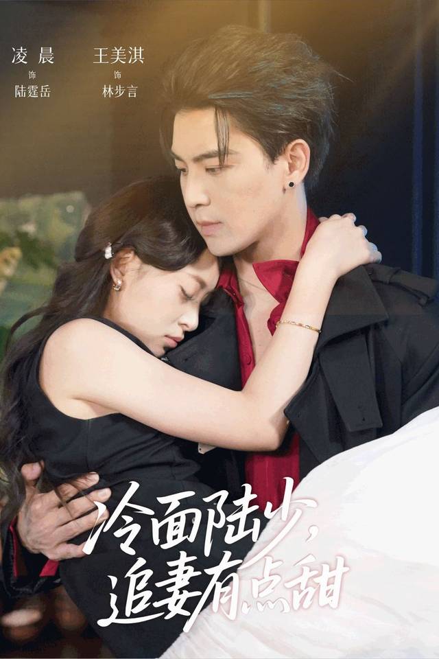 冷面陆少，追妻有点甜封面