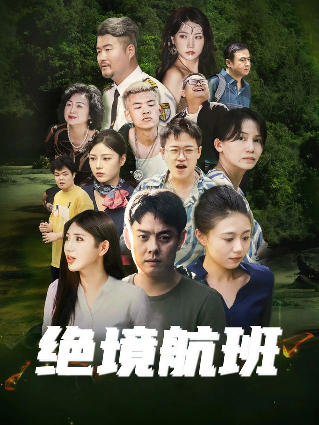 绝境航班封面
