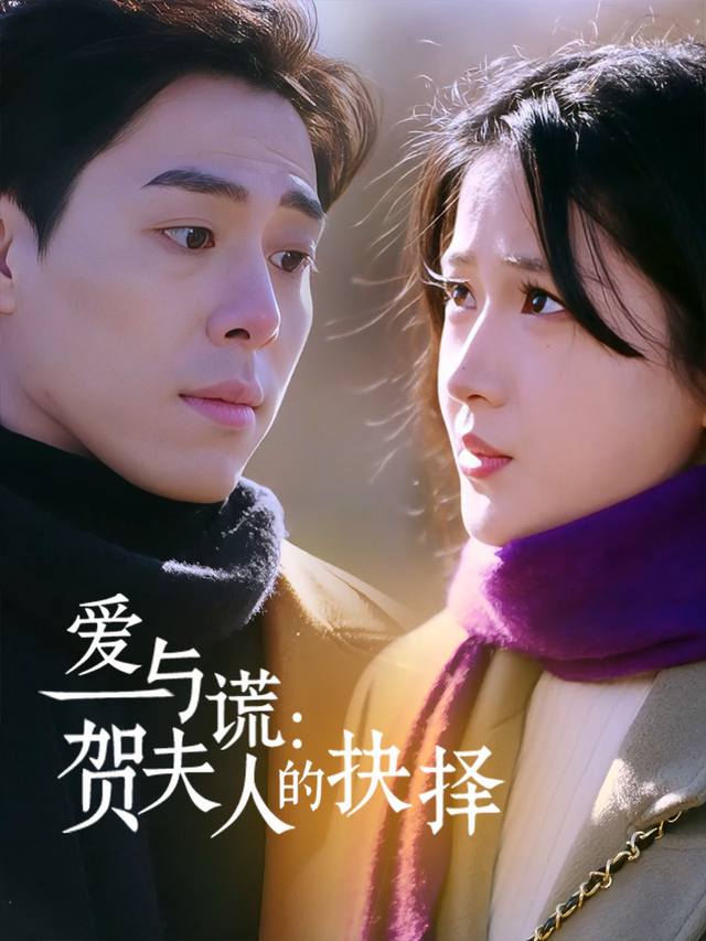 爱与谎:贺夫人的抉择封面