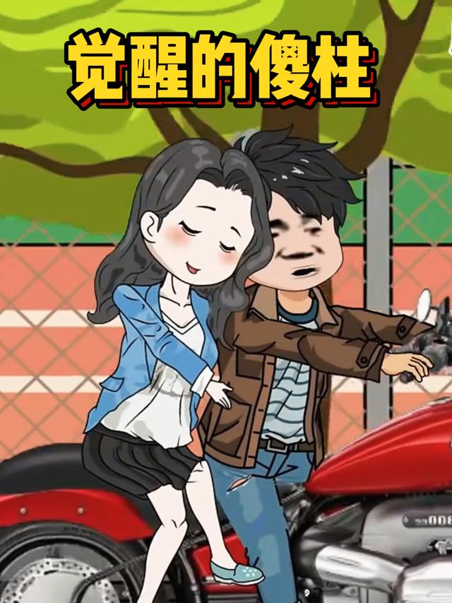 觉醒的傻柱封面