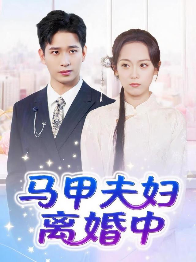 马甲夫妇离婚中封面