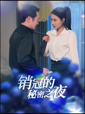 销冠的秘密之夜封面