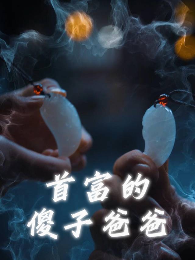 首富的傻子爸爸封面