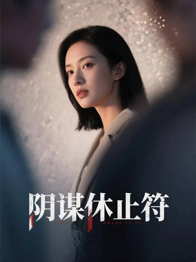 阴谋休止符封面