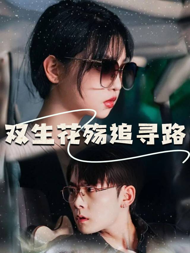 双生花殇追寻路封面
