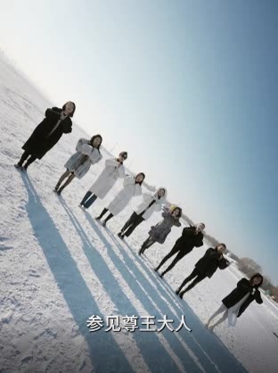 九个师姐偏爱我封面