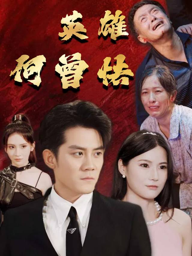 英雄何曾怯封面